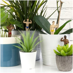 Hunk Planters
